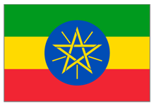 Ethiopia Natural Gr.3 Guji Organic / RAC (GP)
